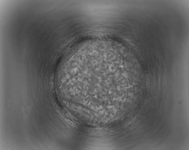 X0000062640737200601041056