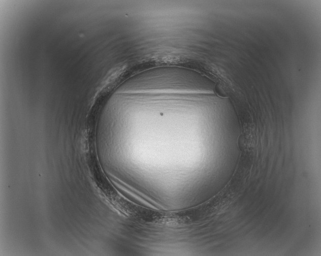 X0000062640738200601041056