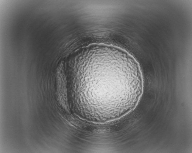 X0000062640745200601041056