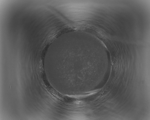 X0000062640748200601041056