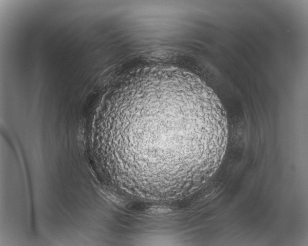 X0000062640749200601041056