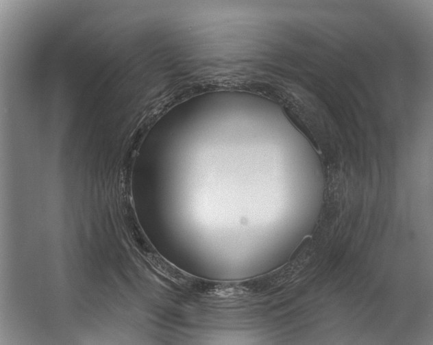 X0000062640752200601041057