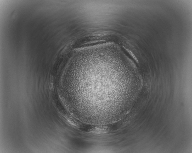 X0000062640758200601041057