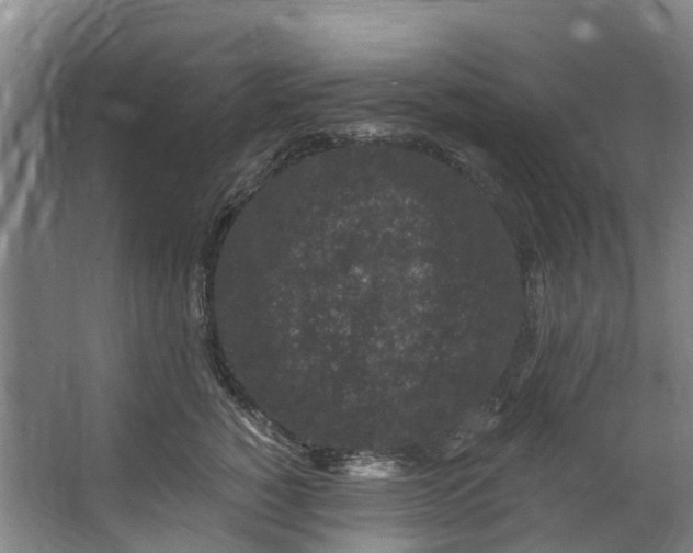 X0000062640760200601041057