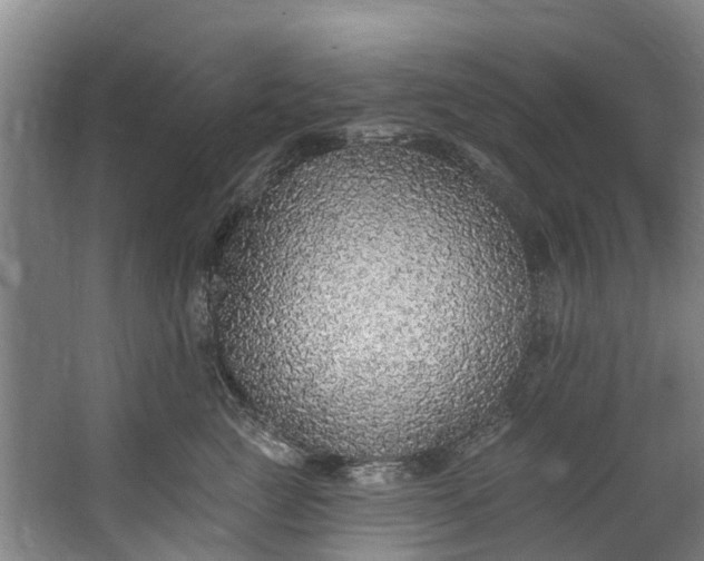 X0000062640761200601041057