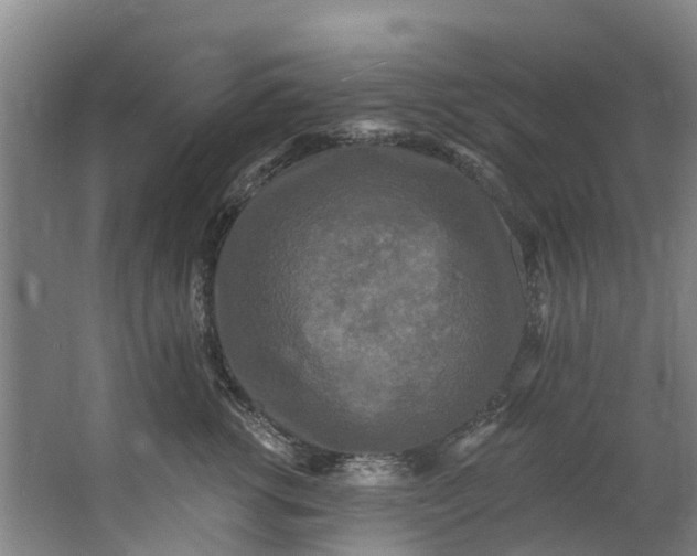 X0000062640762200601041057