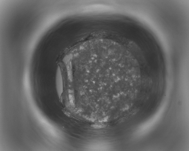 X0000062640765200601041057