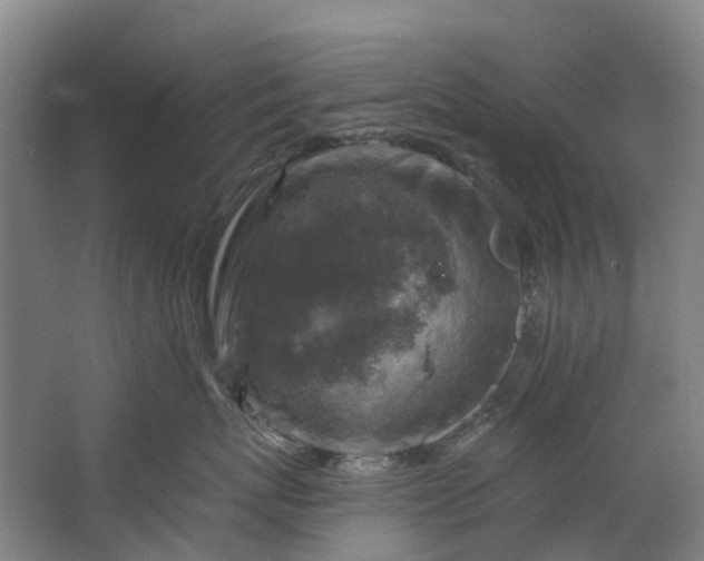 X0000062640767200601041057