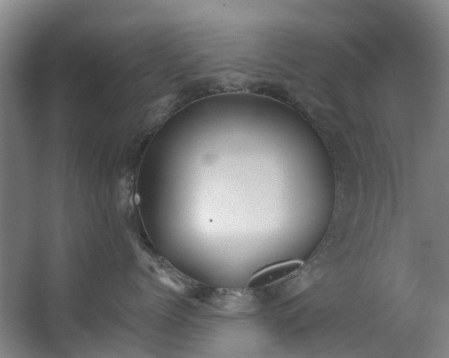 X0000062640768200601041057