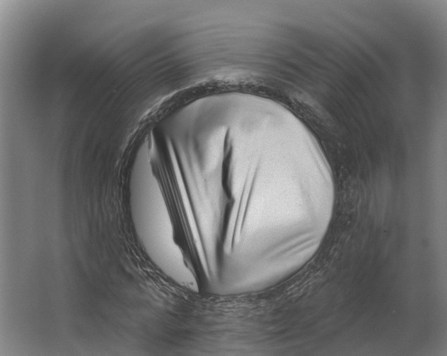 X0000062640776200601041056