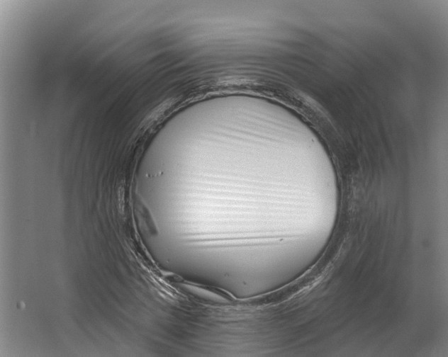 X0000062640777200601041056