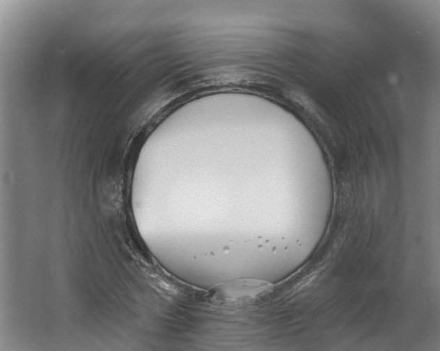 X0000062640778200601041056