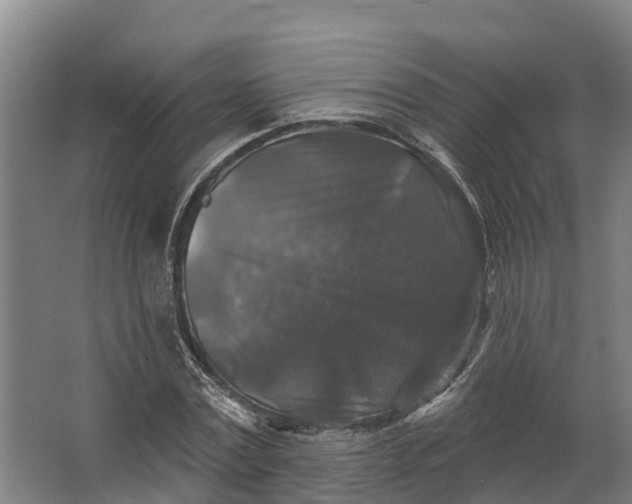 X0000062640779200601041056