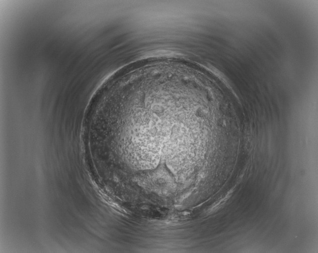 X0000062640783200601041056