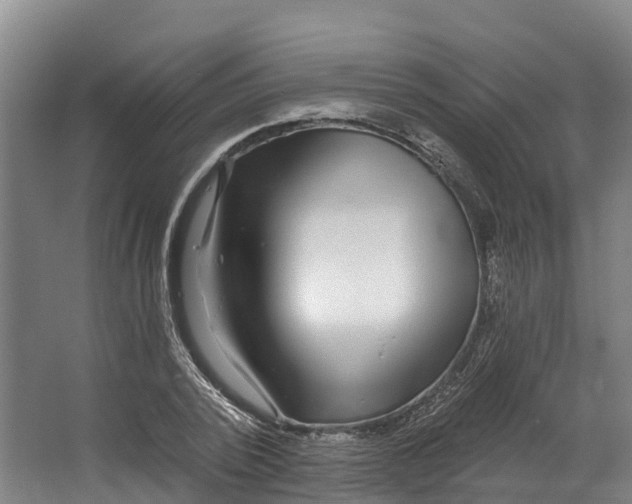 X0000062640784200601041056