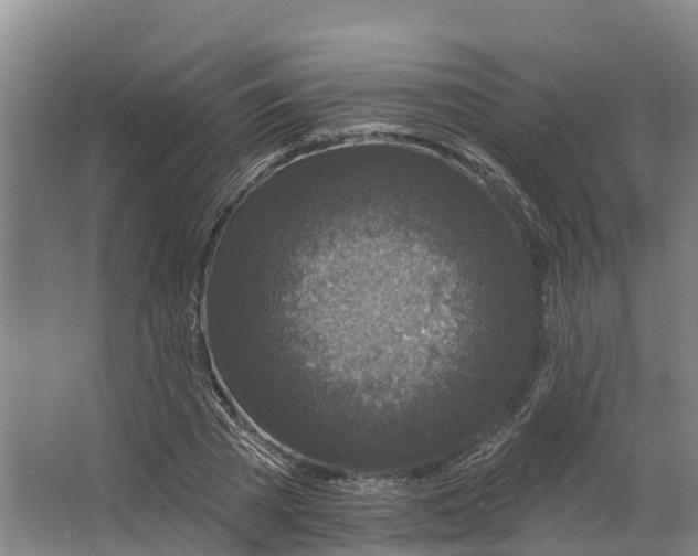 X0000062640785200601041056