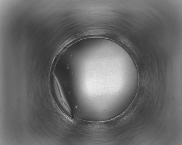 X0000062640786200601041056