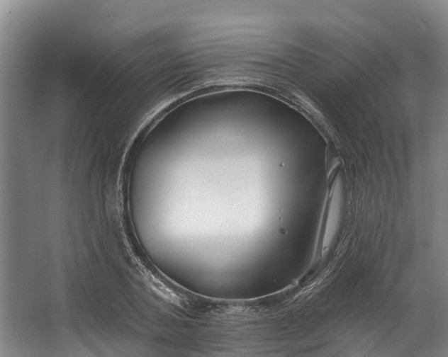 X0000062640787200601041056