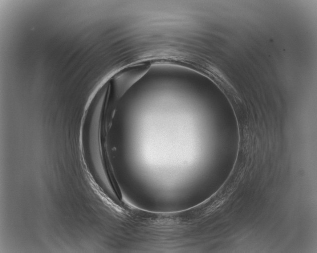 X0000062640788200601041056