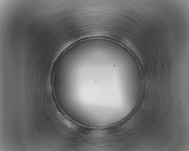 X0000062640789200601041056