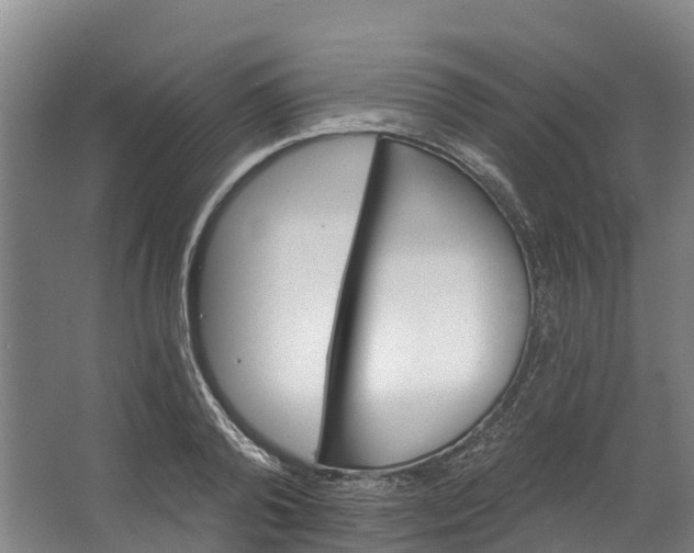 X0000062640792200601041056