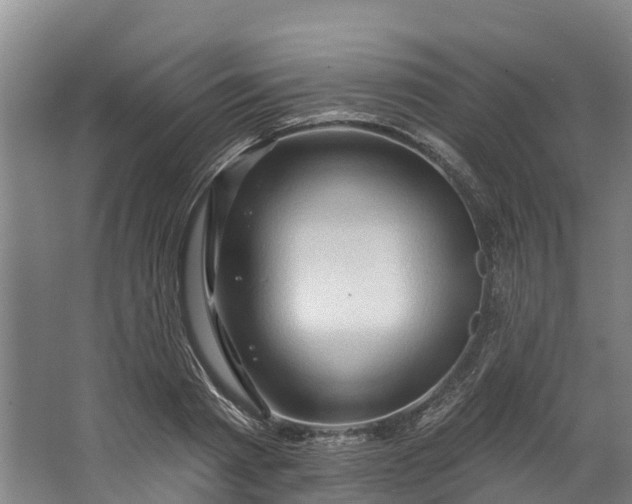 X0000062640793200601041056