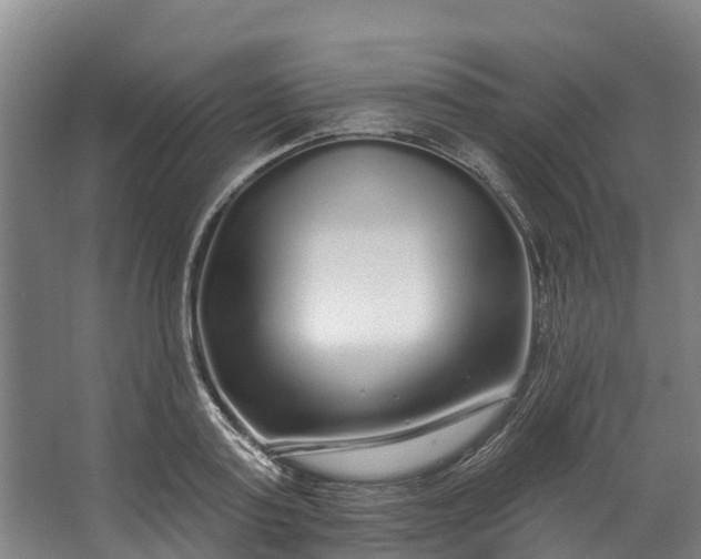 X0000062640795200601041056