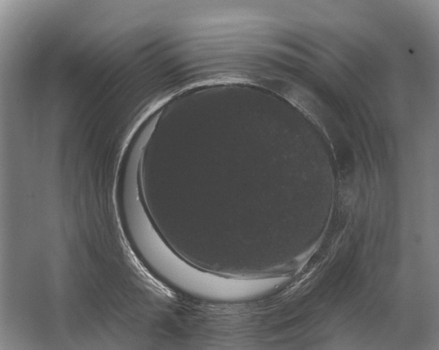 X0000062640797200601041056