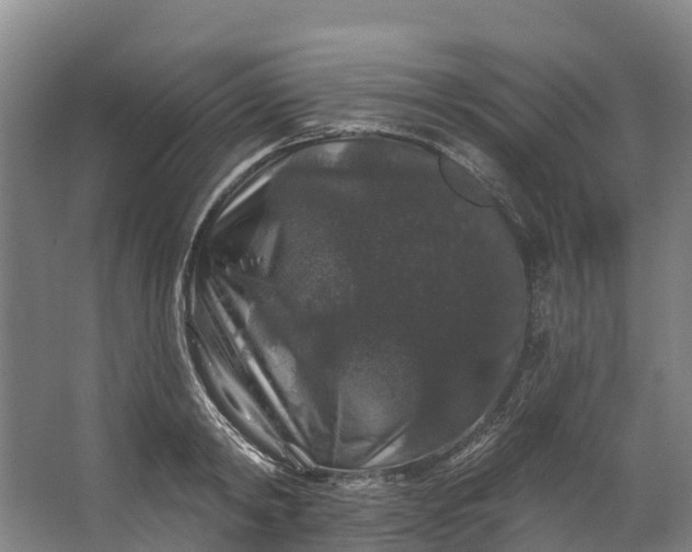 X0000062640798200601041055