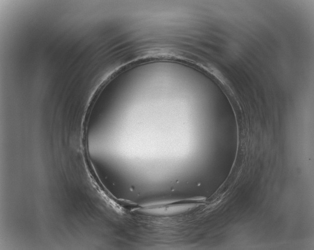 X0000062640799200601041055