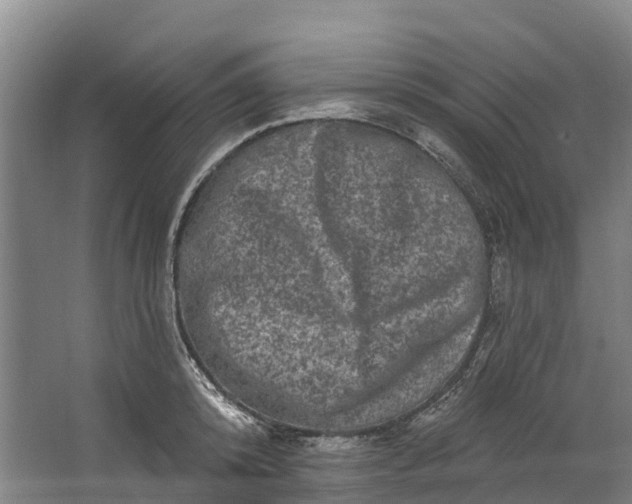 X0000062640800200601041055