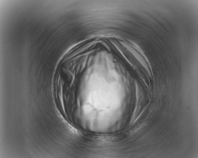 X0000062640803200601041055