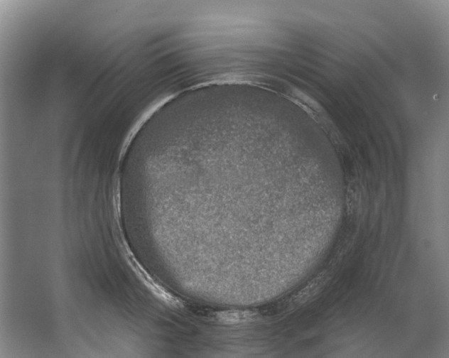 X0000062640804200601041055