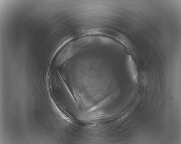 X0000062640806200601041055