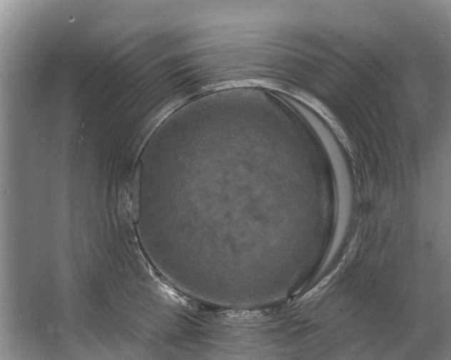 X0000062640809200601041055