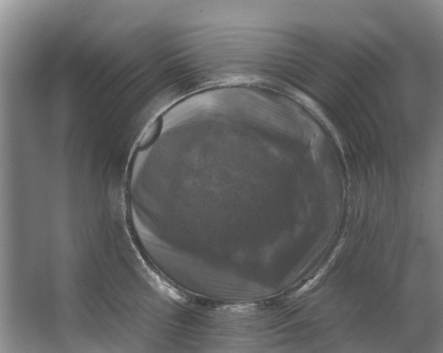 X0000062640810200601041055