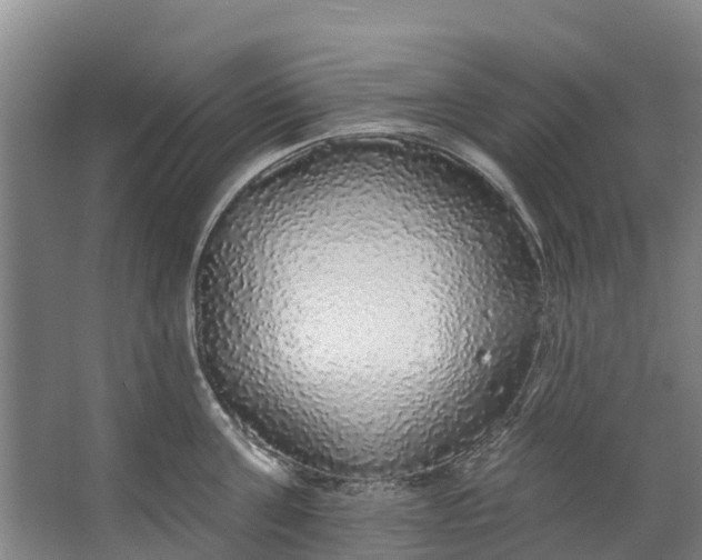 X0000062640811200601041055