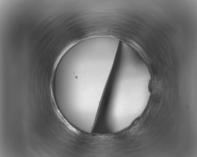 X0000062640812200601041055