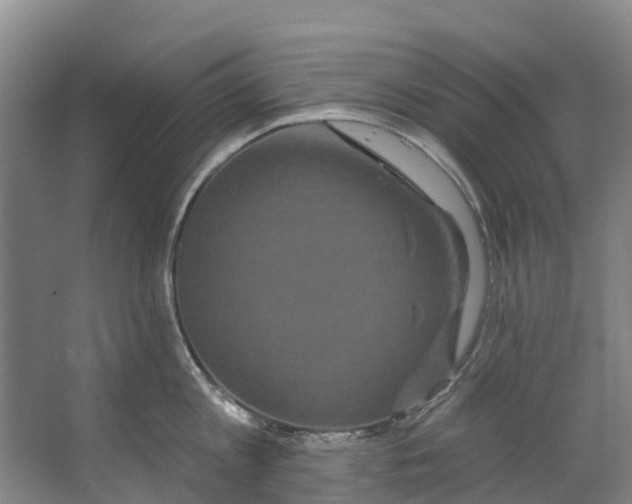 X0000062640813200601041055