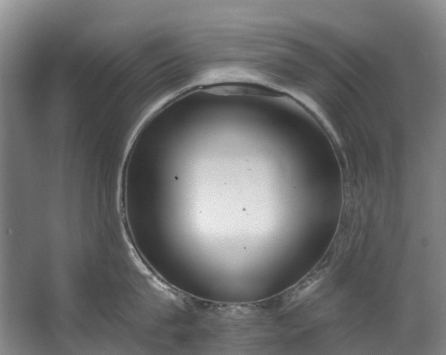 X0000062640815200601041055