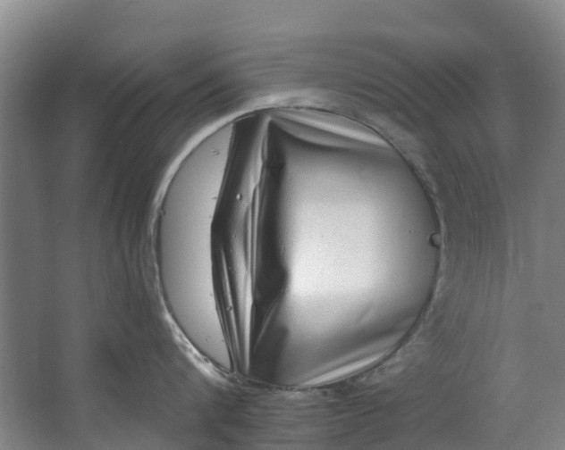 X0000062640816200601041055