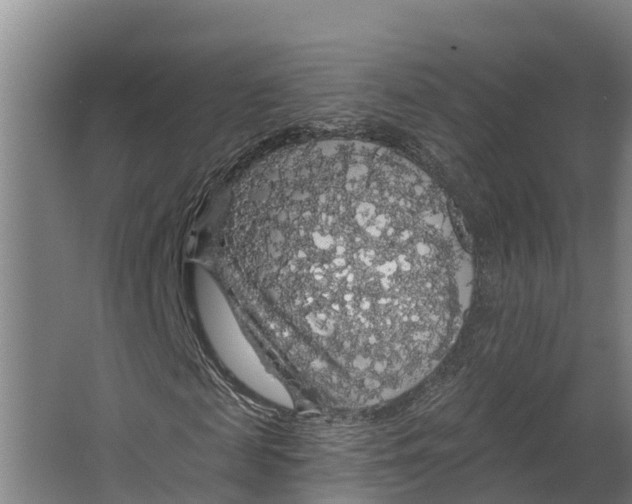 X0000062640817200601041054