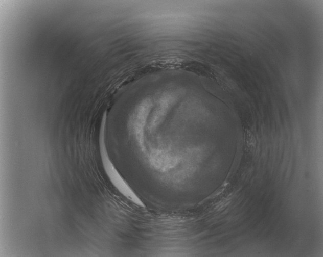 X0000062640818200601041054