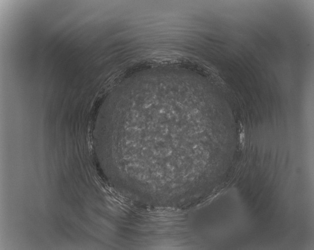 X0000062640819200601041054