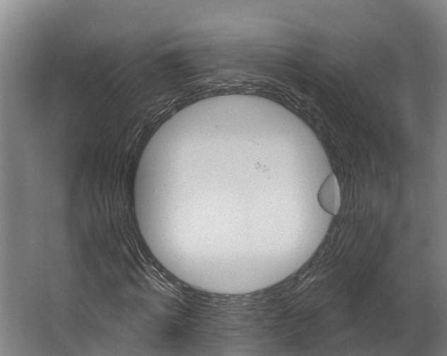 X0000062640820200601041054