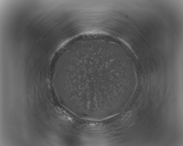 X0000062640823200601041054