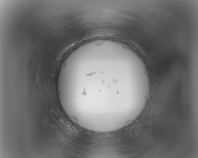 X0000062640824200601041055