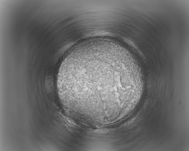 X0000062640825200601041055