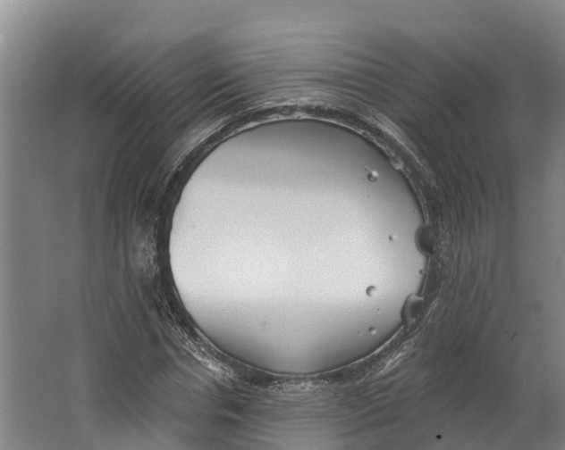 X0000062640826200601041055