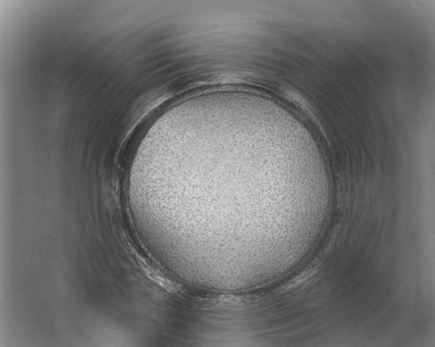 X0000062640827200601041055